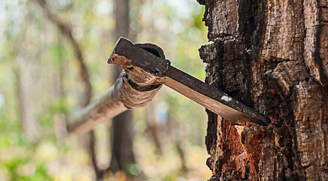 choaping-tree.jpg
